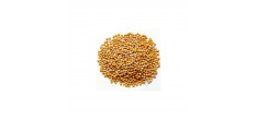 Graines de Moutarde Blondes 70 g