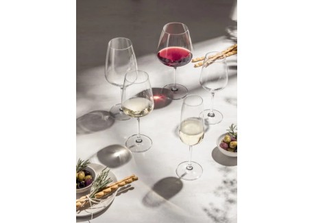 Tulip (Taste) Wijnglas 1 voor Rode Wijn (4 stk)