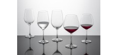 Forté (Vina) Verre à Vin Rouge 140 Bourgogne (4 pcs)