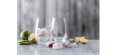 Forté (Vina) Gobelet à Eau 79 56 cl (4 pcs)