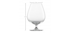 Bar Speciaalglas Cognac XXL 45