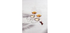 Bar Special Verre Cognac XXL 45