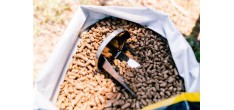 Pellets Premium voor Pizzaoven 10 kg