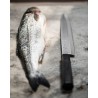 Zie dia Wasabi Black Yanagiba Sushi/Sashimi Mes 24cm