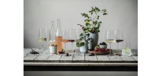 Vivid Senses (Sensa) Champagneglazen 77 (2 stk)