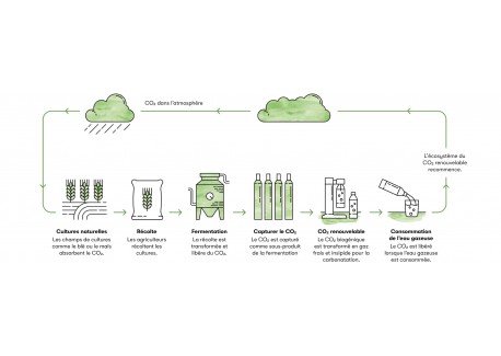 CO2-gasvulling voor Carbonator 3 en Pro bruiswatermachine