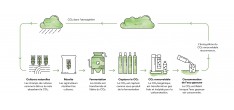 CO2-gasvulling voor Carbonator 3 en Pro bruiswatermachine