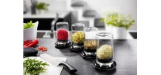 Bivita Kiempot