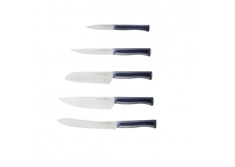 Intempora Bloc de Couteaux 5 pcs 