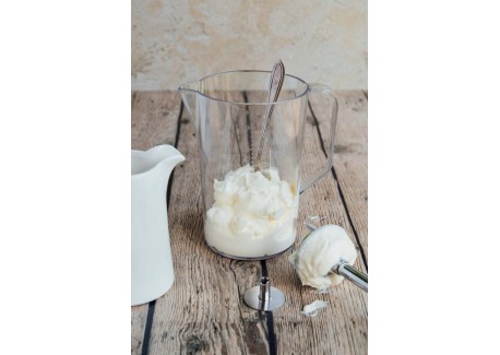 Disque Fouet Inox pour Mixeur Plongeant