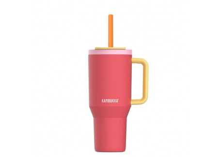 Rio Gourde Isotherme avec Paille Rétractable 950 ml Rose Pink Papaya -