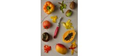 Éplucheur I Microdenté à Tomates et Peaux Fines 5,5 cm 