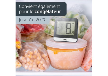 Thermomètre Digital pour Réfrigérateur et Congélateur Noir 9,5 x 6 cm