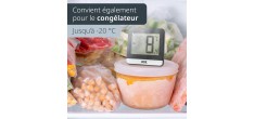 Thermomètre Digital pour Réfrigérateur et Congélateur Noir 9,5 x 6 cm