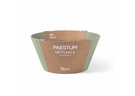 Paestum Nettuno Saladier Large 25x12 cm Vert Thym