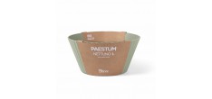Paestum Nettuno Saladier Large 25x12 cm Vert Thym 