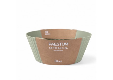 Paestum Nettuno XLarge saladekom 30x12 cm Groene tijm