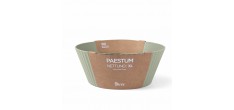 Paestum Nettuno Saladier XLarge 30x12 cm Vert Thym