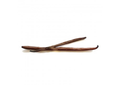 Vanillestokjes BourBon Madagascar 2 dlg