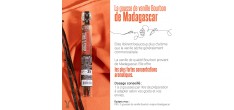 Vanillestokjes BourBon Madagascar 2 dlg