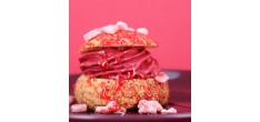 Mix pour Sorbets Maison 300 g