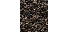 Sachets Fraicheur Poivre Noir Sauvage Voatsiperifery 3x20g