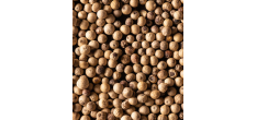 Sachets Fraicheur Poivre Blanc Sarawak 4x20g 