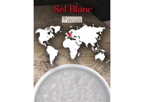 Sachets Fraicheur Gros Sel Blanc Sec pour Moulins 7x50g