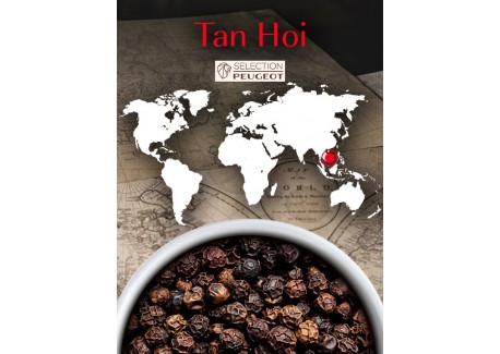 Vershoudzakjes Zwarte Peper Tan Hoi 7x20g