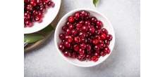 Dénoyauteur Automatique à Cerises et Olives avec Pied Ventouse