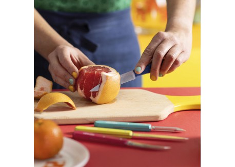 Coffret Les Essentiels Pop 80 3 Couteaux + Eplucheur Inox Manche en Bo
