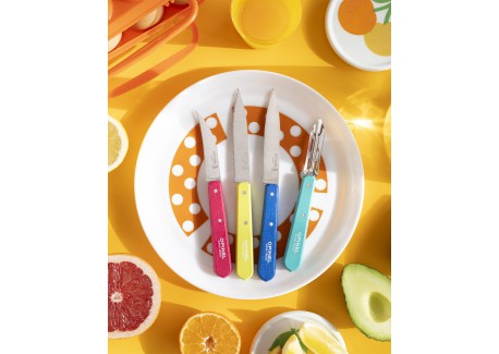 Coffret Les Essentiels Pop 80 3 Couteaux + Eplucheur Inox Manche en Bo