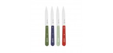 N°112 Coffret de 4 Couteaux Office Inox 10 cm Manche Bois Couleurs Pay