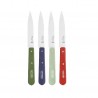 Voir la slide N°112 Coffret de 4 Couteaux Office Inox 10 cm Manche Bois Couleurs Pay