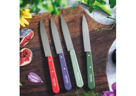 N°112 Coffret de 4 Couteaux Office Inox 10 cm Manche Bois Couleurs Pay
