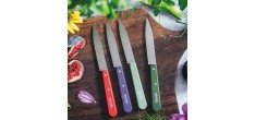 N°112 Coffret de 4 Couteaux Office Inox 10 cm Manche Bois Couleurs Pay