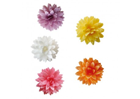 Eetbare Dahlia's in Ouwel voor Taartdecoratie Pastel Ø3 cm 5 stuks