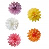 Voir la slide Fleurs Dahlias Comestibles en Azyme pour Déco Gâteau Pastel Ø3 cm 5 Pc