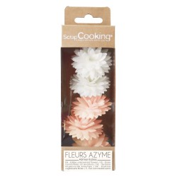 Eetbare Dahlia's in Ouwel voor Taartdecoratie Wit Roze Pastel Ø3 cm 5