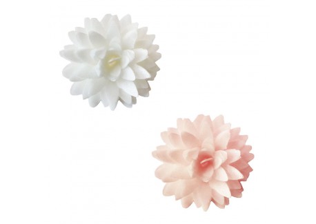Fleurs Dahlias Comestibles en Azyme pour Déco Gâteau Blanc Rose Ø3 cm
