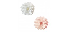 Eetbare Dahlia's in Ouwel voor Taartdecoratie Wit Roze Pastel Ø3 cm 5