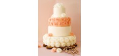 Eetbare Dahlia's in Ouwel voor Taartdecoratie Wit Roze Pastel Ø3 cm 5