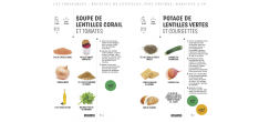 Les Inratables Recettes de Lentilles, Pois chiches, Haricots & co 