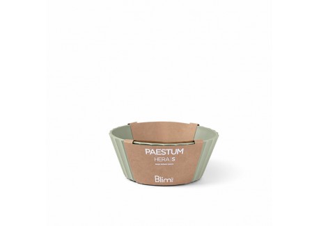 Paestum Hera Bol Saladier Small 15x6 cm Vert Thym 