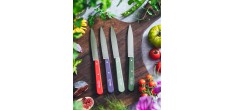 N°112 Couteau Office Lame en Inox 10 cm Manche en Bois Mauve Violet