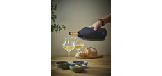 Coffret Fresh & Preserve Rafraichisseur et Pompe à Vin et Champagne Ma
