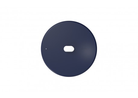 La Merveilleuse Blauwe Bosbes RVS Deksel 20 cm