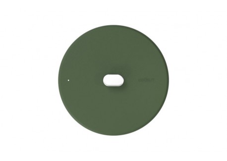 La Merveilleuse Varengroen RVS Deksel 24 cm