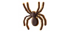 Halloween koekjesvormpjes Pompoen Spook Vleermuis Spin 4 stuks