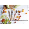 Voir la slide Le Petit Gourmet Set Couverts pour Enfant avec Clips Vert Corail Bleu